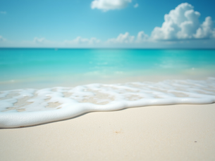 Navigating the Florida Real Estate Market with Ease