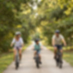 Family cycling on a tree-lined path