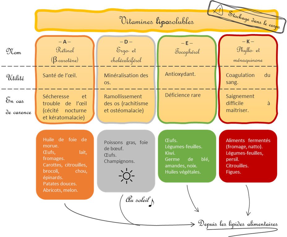 Mizu et Kasai: Vitamines liposolubles