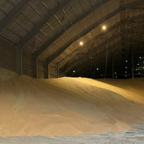 UK FLOUR MILLERS ECONOMIC BRIEFING - September 2021