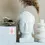 Miniature : Sticker - I am in harmony with myself - Affirmation sticker for your intentional