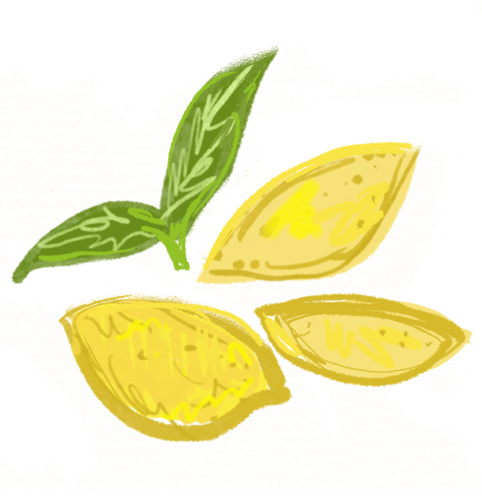 Kelsey-Linnartz-Lemon-Illustration.png