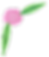 Kelsey-Linnartz-Flower-Illustration.png
