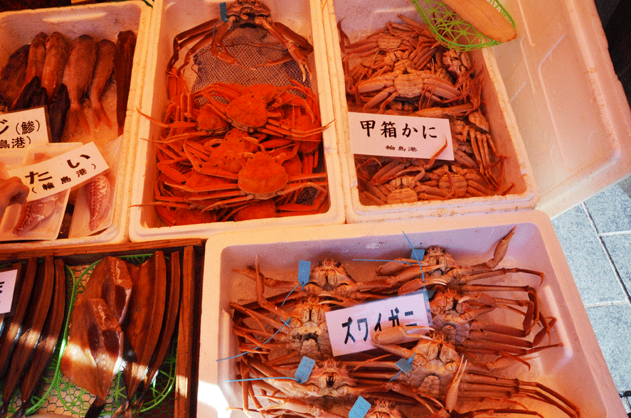 asaichi5.gif