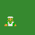 FLASH LUIGI