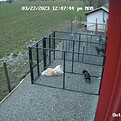 Resized_Outside_Barn_Camera_live_1679935658367.jpeg