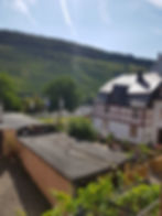 Moselblick vom 1. OG