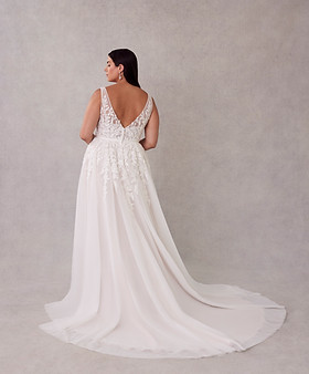 3459 SEQUOIA back.jpeg