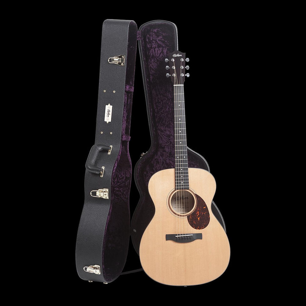 Miniatura: HERTOM OM STD