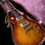 Miniatura: Guitarra Gibson Les Paul R9 Reessiue 1959 2007
