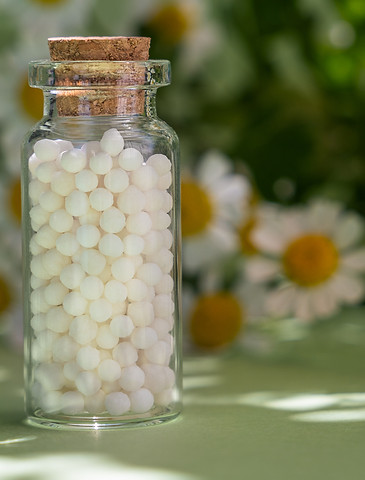 Classical homeopathy globules in vintage bottle on background of fresh chamomile flowers A