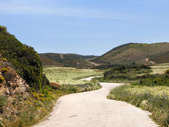 Road Algarve 6.jpeg