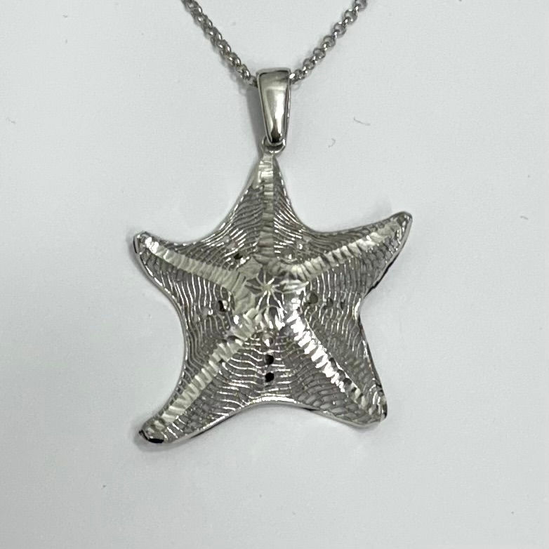 Gargantilla estrella de mar, de plata de 1ª ley rodidada.
