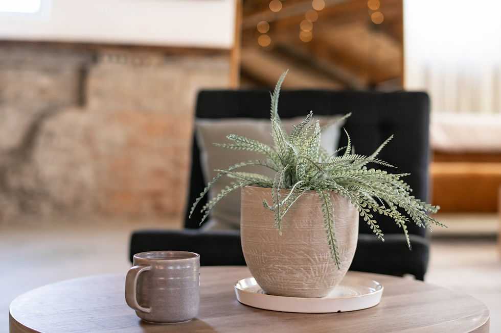 Coffee cup and plant in wellness practitioner office