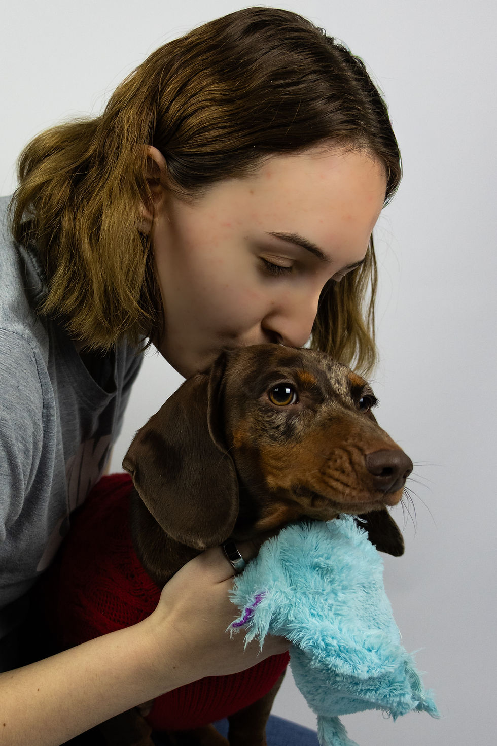 Lola the Dachshund