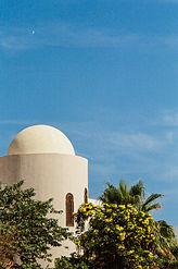 IMG_9867.jpeg