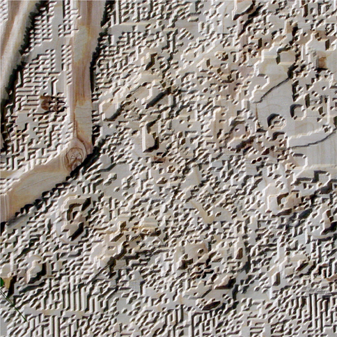 09_Lea Valley_07.Frven Lim-01.png