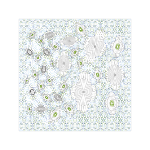 04_borrominations_Nelson Byun_plan-01.png