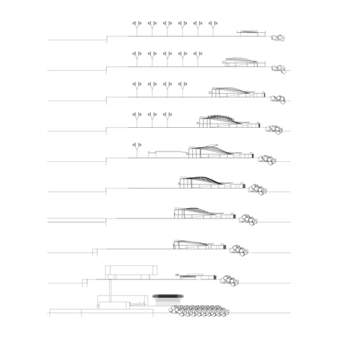 09_sucundum_secciones transversales-01.png