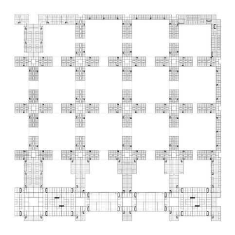 05_plantas patagonia continua-02.jpg