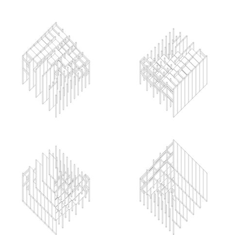 74_Eisenman_opcion 033.jpg