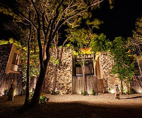 1BR Jungle Apartment Rooftop Pool - Calma 17A