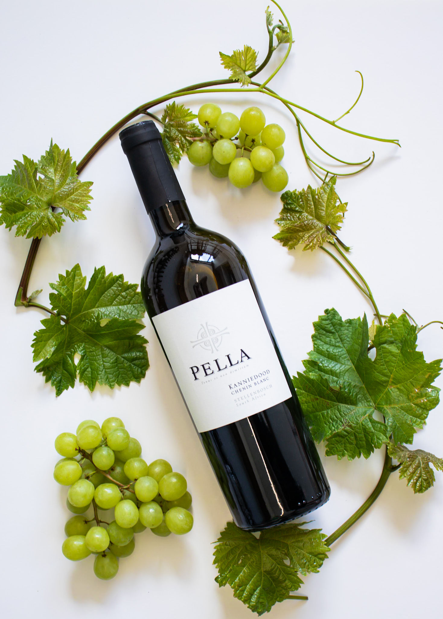 Super Single Vineyards Pella Kanniedood Chenin Blanc 2023