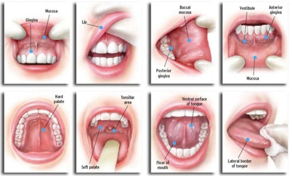 Physical examination performed by dentists