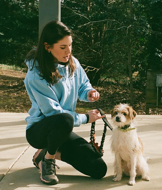 Puppy Training on Leash with Private in-home trainer in charlotte north carolina.