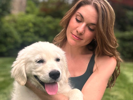 Puppy Handling and Training