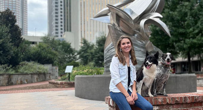 uptown charlotte dog trainer