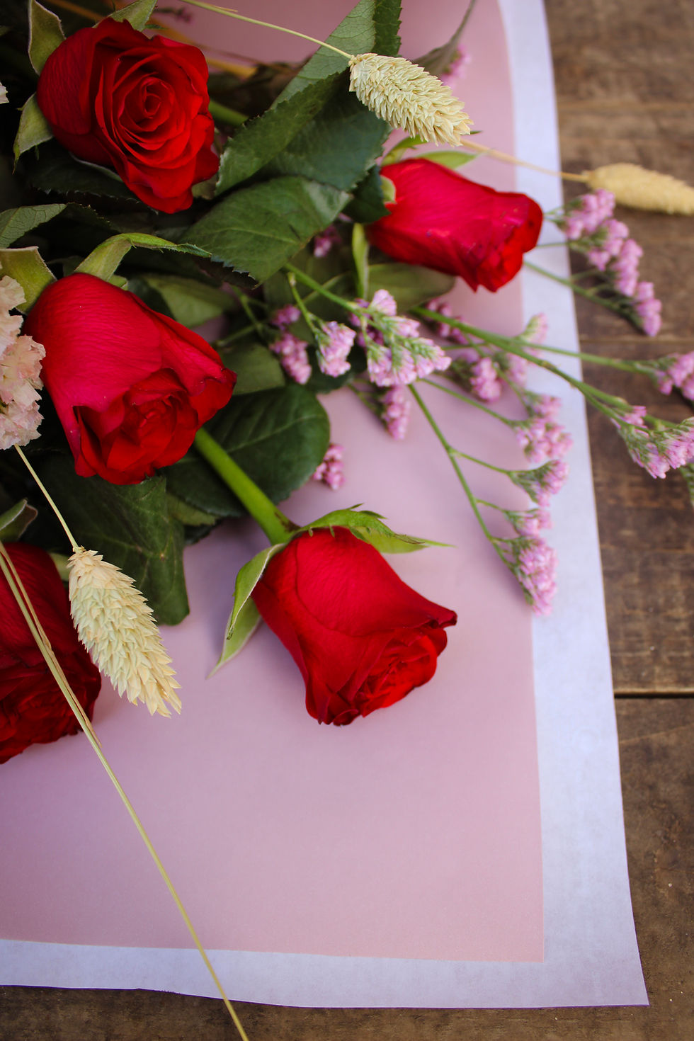 Close-up of vibrant red roses with delicate pink accents and lush green leaves on a dual-tone pink background