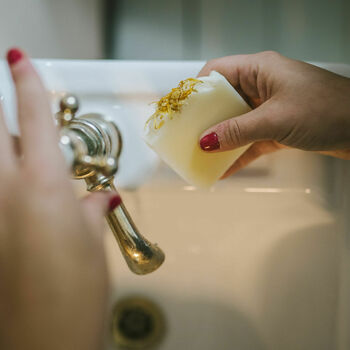 Thumbnail: Wild at Home Gift Box