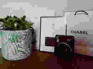 A shelf display of black and white fashion books, a polaroid camera and a botanical succulent house plant pot
