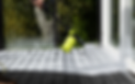 RM Roof & Exterior Cleaning (3).png