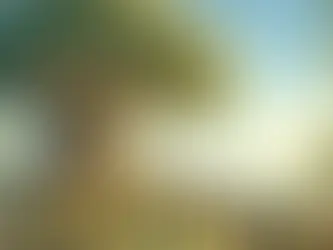 וְאָהַבְתָּ לְרֵעֲךָ כָּמוֹךָ 1 בינואר 2019