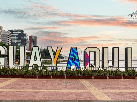Descubriendo Guayaquil: Los Mejores Lugares para Visitar Cerca de Cedros Inn Boutique