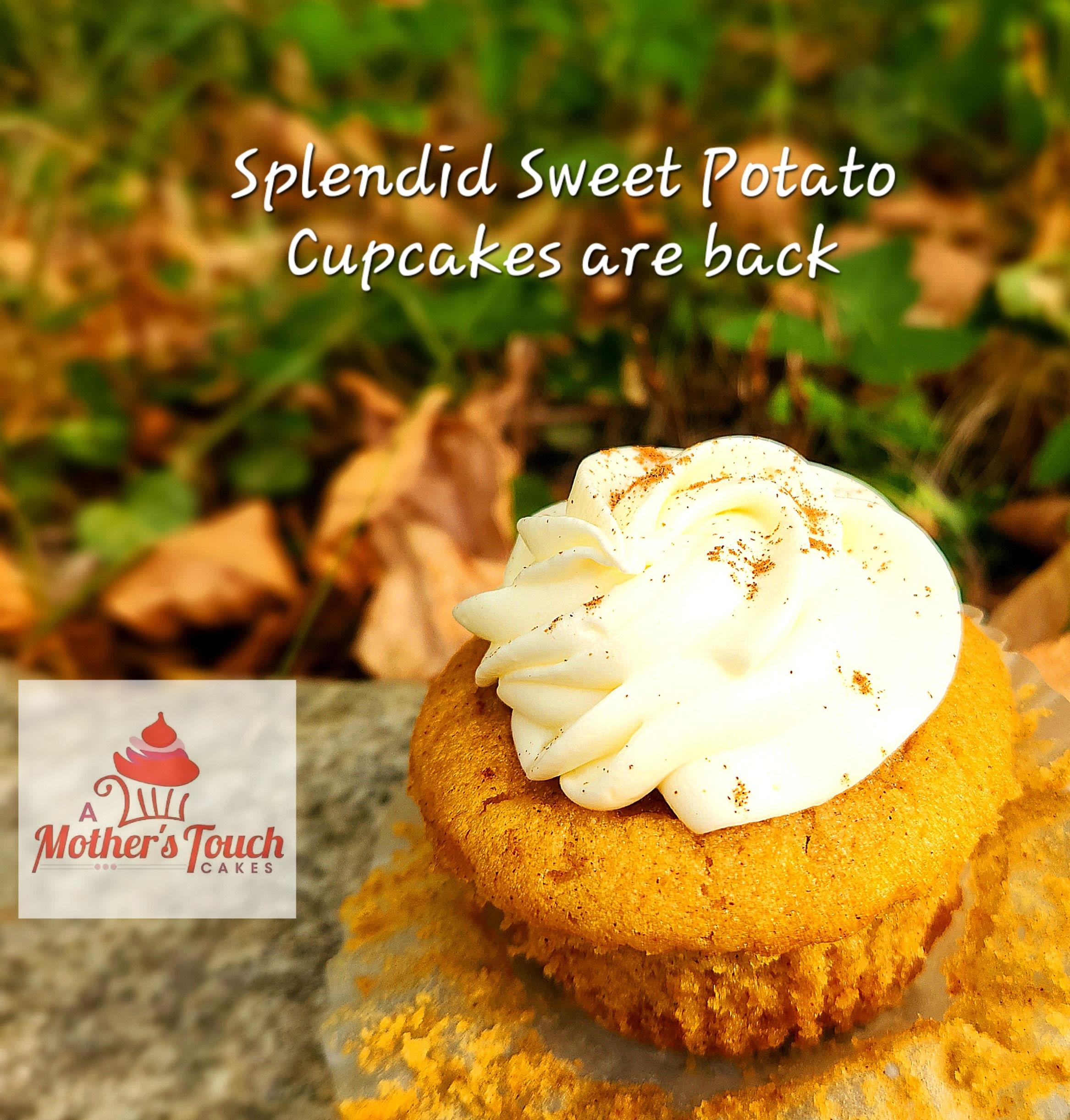 Splendid Sweet Potato Gourmet Cupcakes 