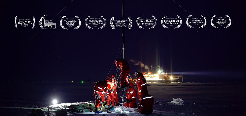 Into the Polar Night Banner 2.jpeg