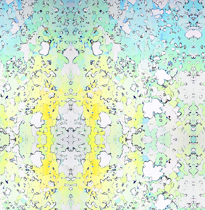 Screen Shot 2023-07-01 at 10.33.31 AM.png