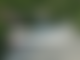 Julho sem Plástico com Vegalótus