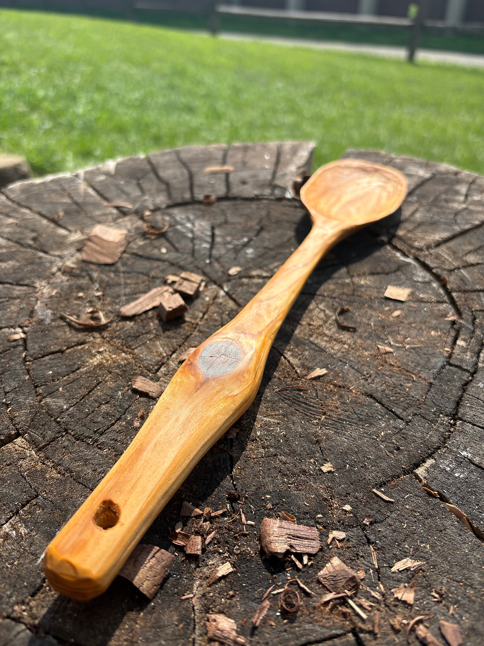 Thumbnail: Knobby Cooking Spoon