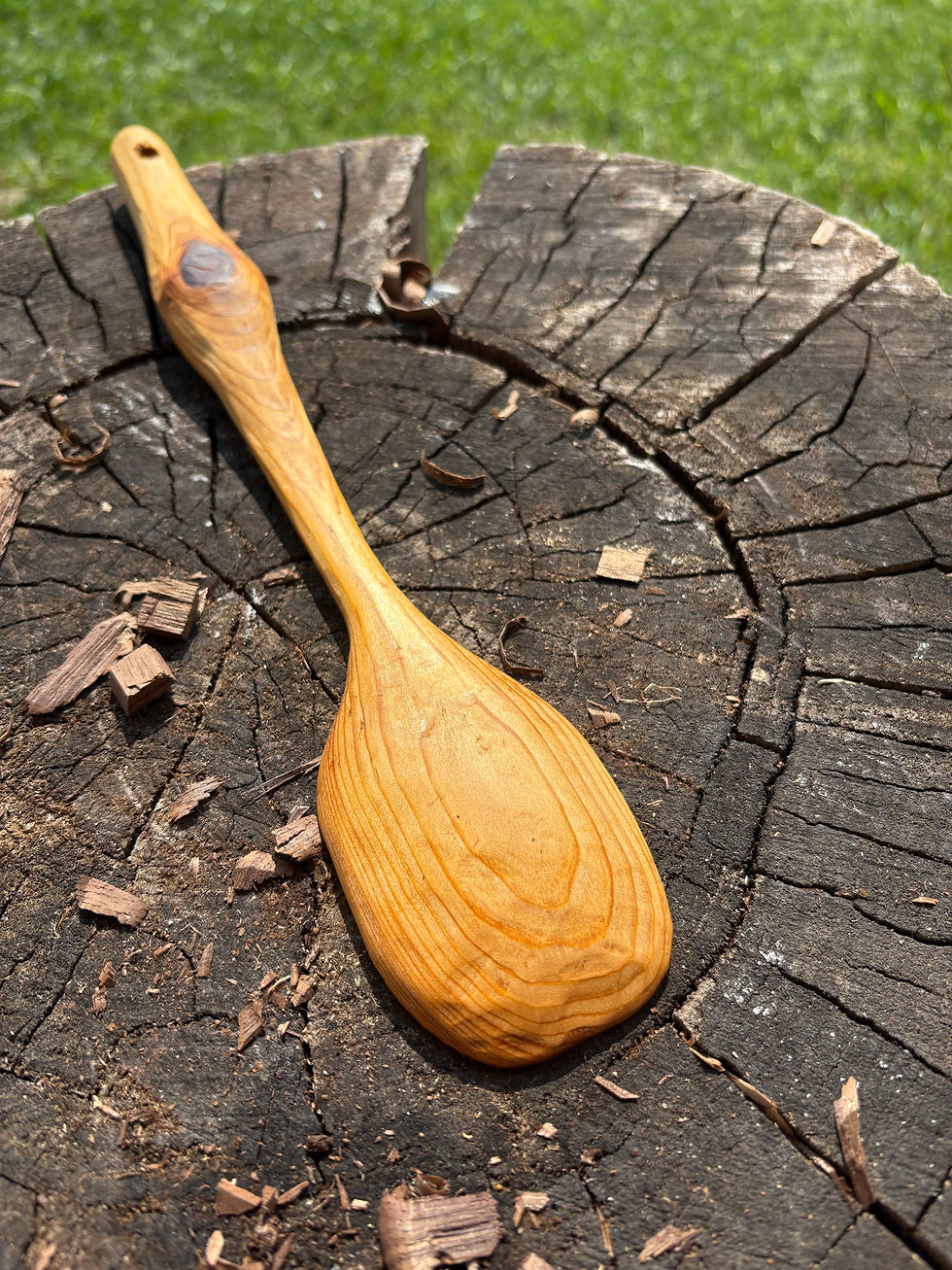 Thumbnail: Knobby Cooking Spoon