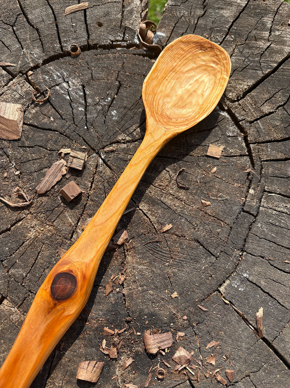 Thumbnail: Knobby Cooking Spoon