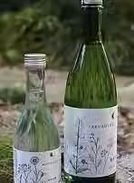utsunomiyashuzo (3).avif