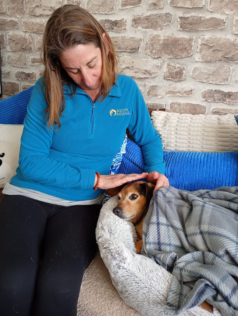 LJ rescue dog reiki