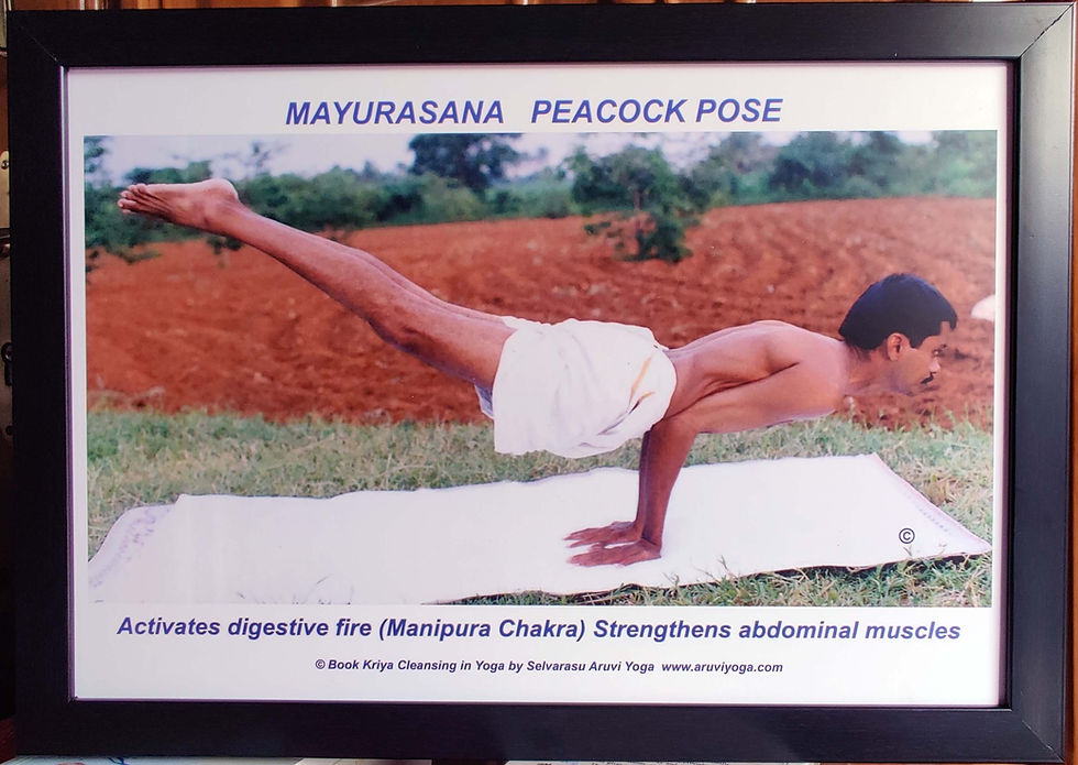 Thumbnail: Yoga Postures Set of 10.  Made with Frame 35 x 53 CM