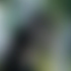 “I CAN’T BREATH” di Salute The Soldier