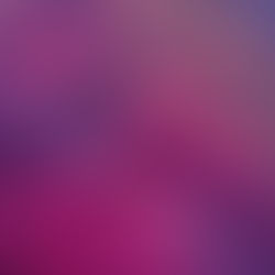 “SAKURA” di West Wickhams