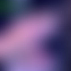 “WALLS” di Hangtime